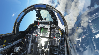 IndiaFoxtEcho F-14 Tomcat screenshot