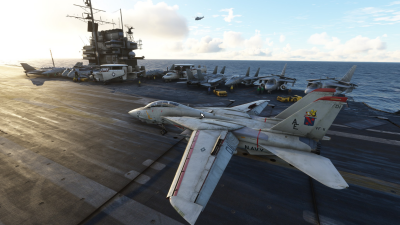 IndiaFoxtEcho F-14 Tomcat screenshot