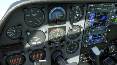 Blackbird Simulations 310R screenshot